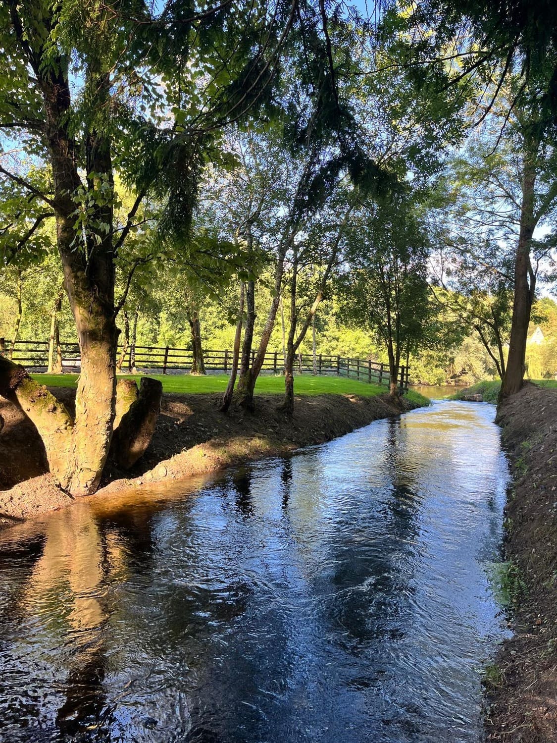 Verses of Glistening Green Waters image