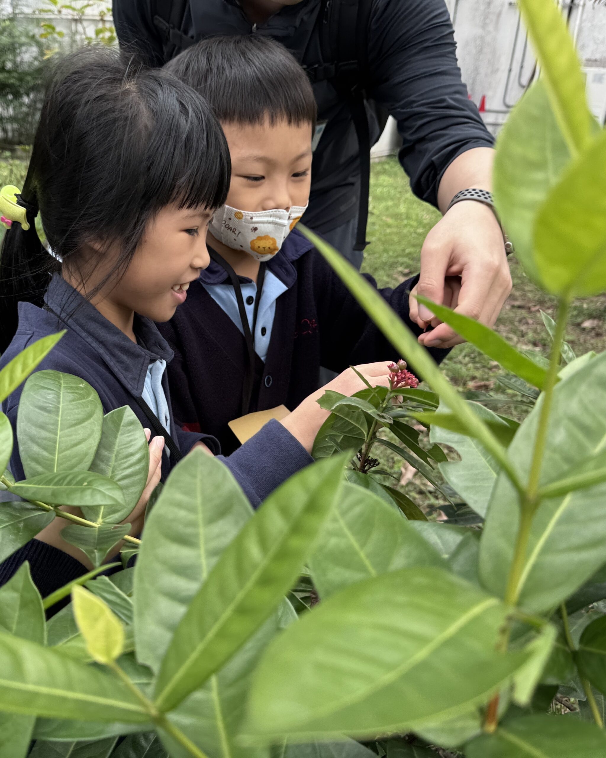 Horticultural Nature Outing image